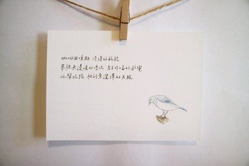 動物與牠的詩45/ 鴿子/ 手繪 /卡片 明信片