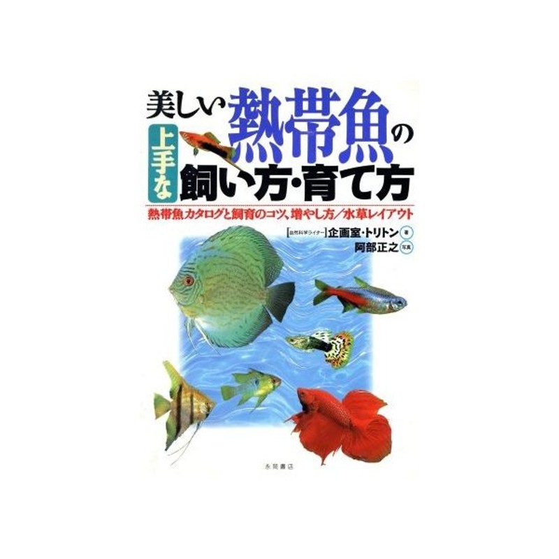 美しい熱帯魚の上手な飼い方 育て方 熱帯魚カタログと飼育のコツ 増やし方 水草レイアウト 企画室 トリトン 著者 阿部正之 通販 Lineポイント最大0 5 Get Lineショッピング