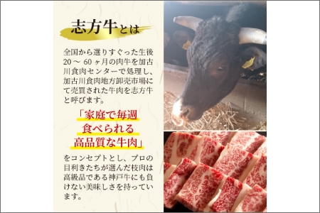 志方牛カルビ焼肉(500g)〈牛肉 牛 和牛 国産 焼肉 おすすめ カルビ 赤身 美味しい バーベキュー 志方牛 プレゼント ギフト 送料無料 お取り寄せ〉