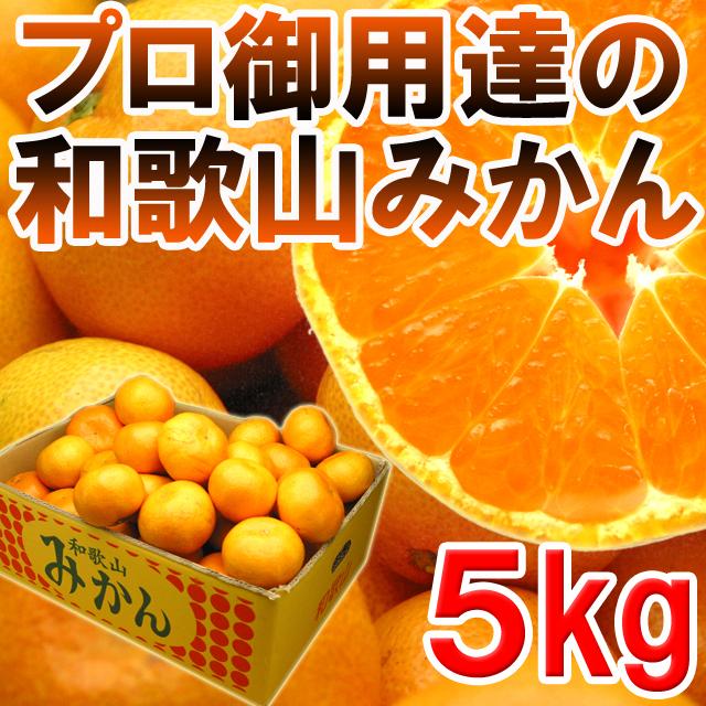 沖縄・離島配送不可　訳あり和歌山みかん５kg　プロ御用達大谷農園のみかん　LINEショッピング