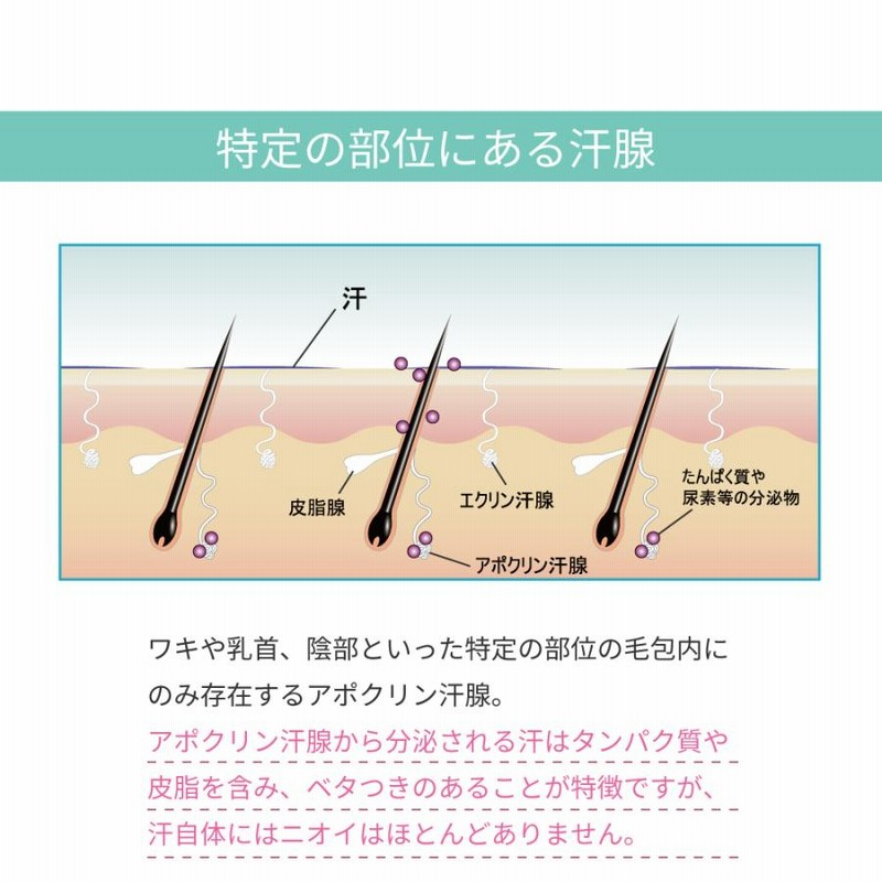 ワキガ対策 加齢臭対策 薬用 デオドラントラヴィリンジュビリー
