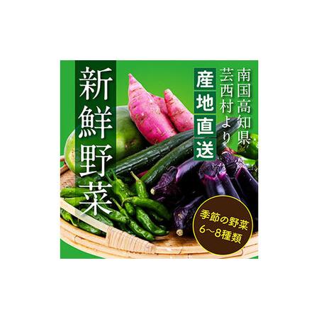 ふるさと納税 朝どれ！ 野菜詰合せ／芸西村で採れた新鮮な野菜6〜8種類をお届けします。特産品 ピーマン ナス こだわりの栽培方法 環境に優しい .. 高知県芸西村