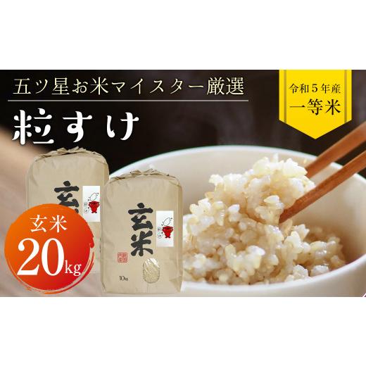 ふるさと納税 千葉県 富津市 令和5年 千葉県産「粒すけ」20kg（玄米）