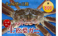 足１本なし生松葉ガニ（大８００ｇ） 訳あり 松葉ガニ カニ ズワイガニ カニ爪 冷蔵 かにしゃぶ カニ刺身