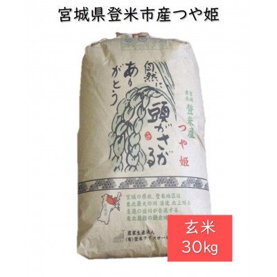 ふるさと納税 登米市 令和5年産　宮城県登米市産つや姫(玄米)30kg