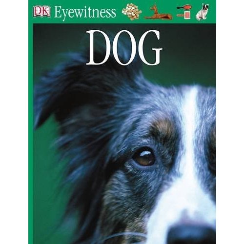 Dog (Eyewitness)