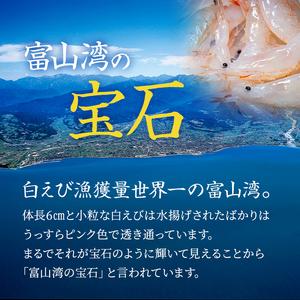 ふるさと納税 白えび 刺身 富山湾の宝石しろえび 100g×2個 200g セット 浜浦水産 おつまみ つまみ エビ お刺身 魚介 魚介類 海鮮 富山県魚津市