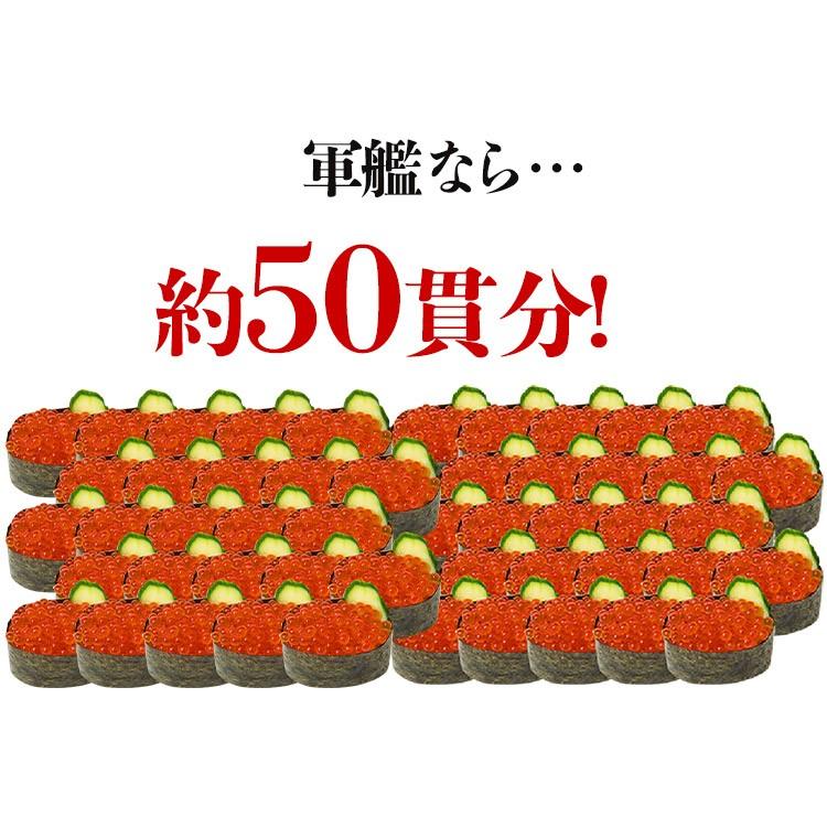 北海道加工 いくら 醤油漬け 500g イクラ 鱒 寿司 送料無料 優良配送 グルメ お歳暮 ギフト 10%クーポン