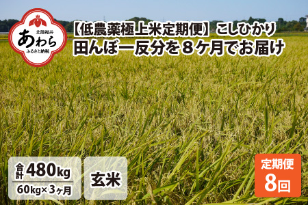 《定期便》60kg×8回 480kg 田んぼ一反分 特別栽培米 コシヒカリ 玄米 低農薬 《食味値85点以上！こだわり極上玄米》    福井県 あわら 北陸 米 お米 人気 新米