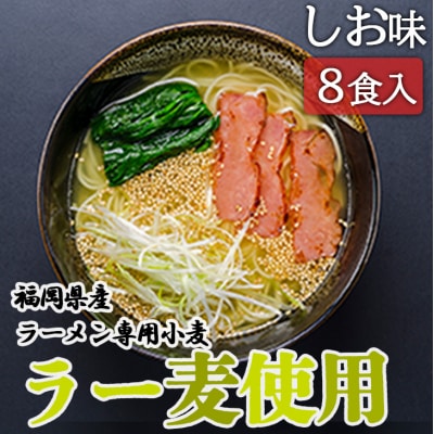 福岡県産 ラー麦使用 たなばたの里ラーメン(しお)8食入