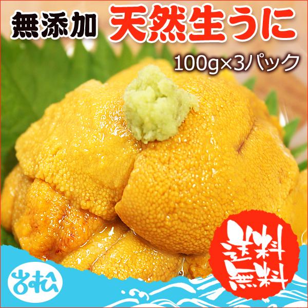 生ウニ 100g 3パック 無添加 刺身 天然 送料無料 ギフト お取り寄せグルメ  海鮮 ギフト