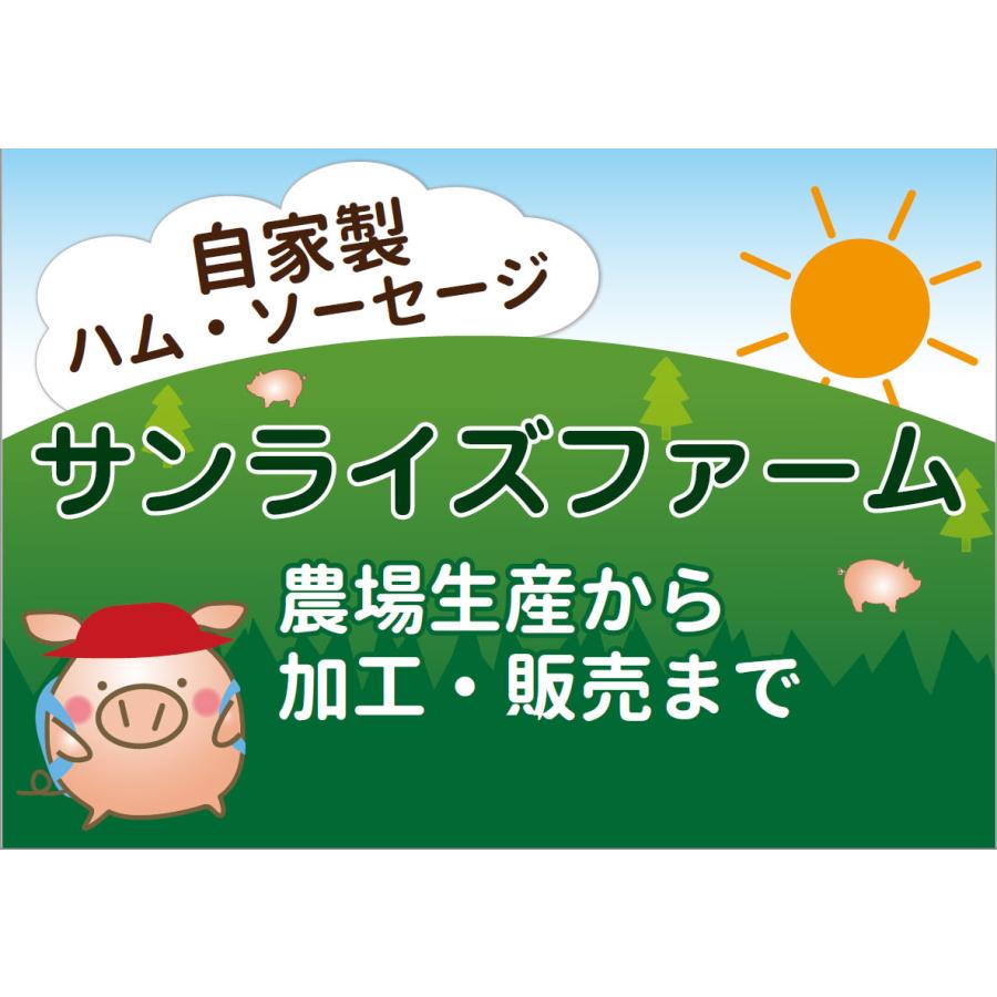 生ハム 切り落とし 100g×5パック セット 訳あり フードロス対策