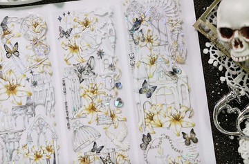 金諭 百骨 PET 紙膠帶 貝殼光 5米卷