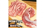 羽黒緬羊ヒレ1本（約200g）と焼肉用スライス（300g） 