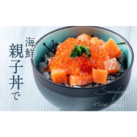 ふるさと納税 北海道 苫小牧市 生を超えた「とろ生 サーモン」 お刺身用 ブロック 1kg トロ 鮭 しゃけ 個包装 おすすめ 送料無料