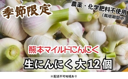 にんにく 2024年 発送 大玉 12個 錦町産 農薬・化学肥料 栽培期間中不使用！ 桑原農園 熊本 マイルド生にんにく 2Lサイズ 7cm以上 配送不可：離島