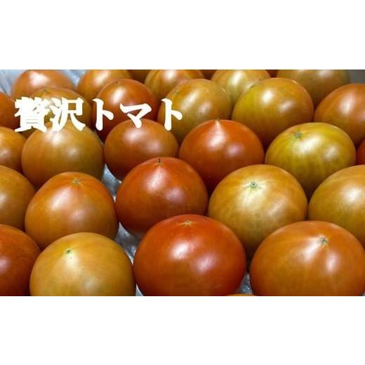 ふるさと納税 高知県 高知市 高知県高知市産 贅沢トマト 約4kg