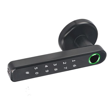 昇瑋 196指紋水平把手鎖 黑色  客戶直接安裝  1個  196