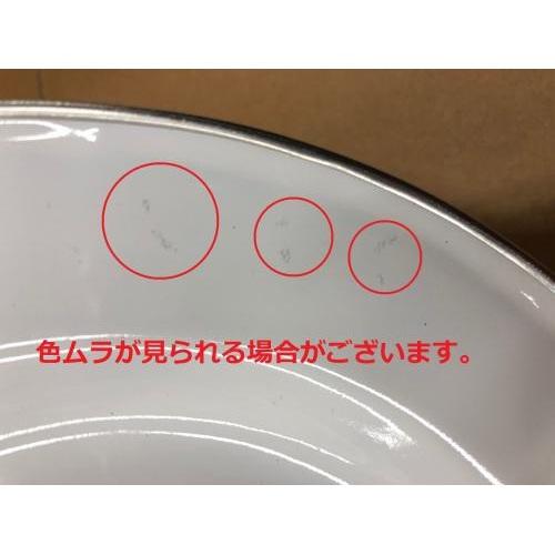 petromax ペトロマックス エナメルボウル 入 ホーロー 食器