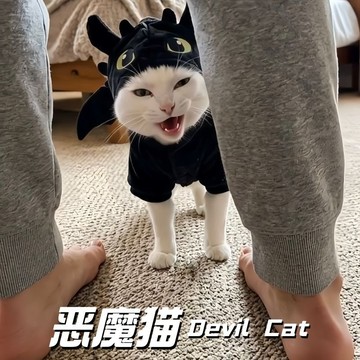 新上架👉小惡魔貓衣服無牙仔貓咪變身服立體翅膀可愛黑龍寵物拍照搞怪服飾交換禮物 送朋友禮物