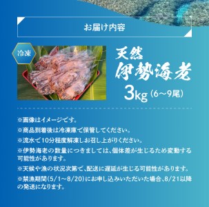 エメラルドブルーの美しい海で獲れた天然伊勢海老３㎏（６～９尾）！