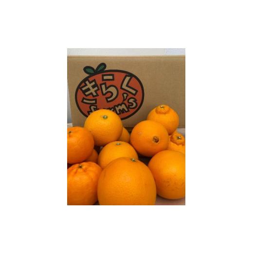 ふるさと納税 和歌山県 有田川町  食べ頃柑橘おまかせバラエティーセット