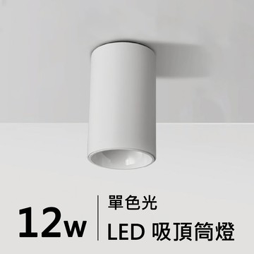 LED 吸頂筒燈｜H05-JBR-30131W/B