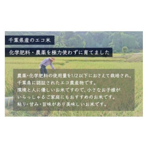 ふるさと納税 千葉県 大網白里市 ＜6ヶ月定期便＞千葉県産エコ米「コシヒカリ」5kg×6ヶ月連続 計30kg ふるさと納税 米 定期便 5kg コシヒカリ エコ米 千葉県 …