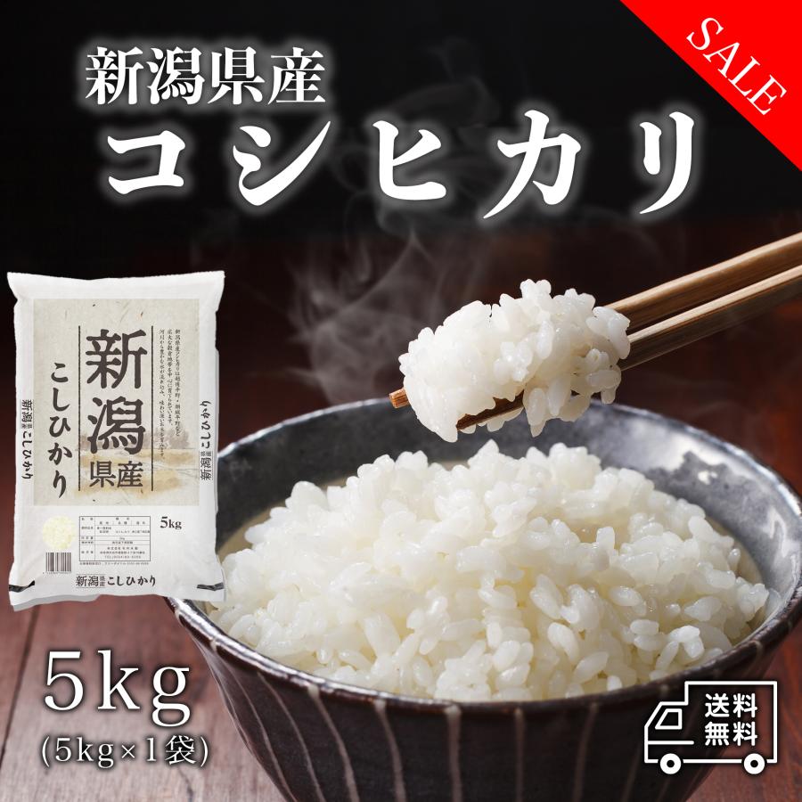 新米 米 お米 5kg 新潟県産 こしひかり 白米 5キロ 令和4年産 5kg×1袋 精米