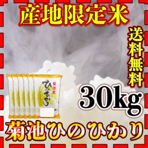 お米 米 30kg 白米 送料無料 熊本県 菊池産 ひのひかり あす着 新米 令和5年産 ヒノヒカリ 5kg6個 産地限定米 くまもとのお米