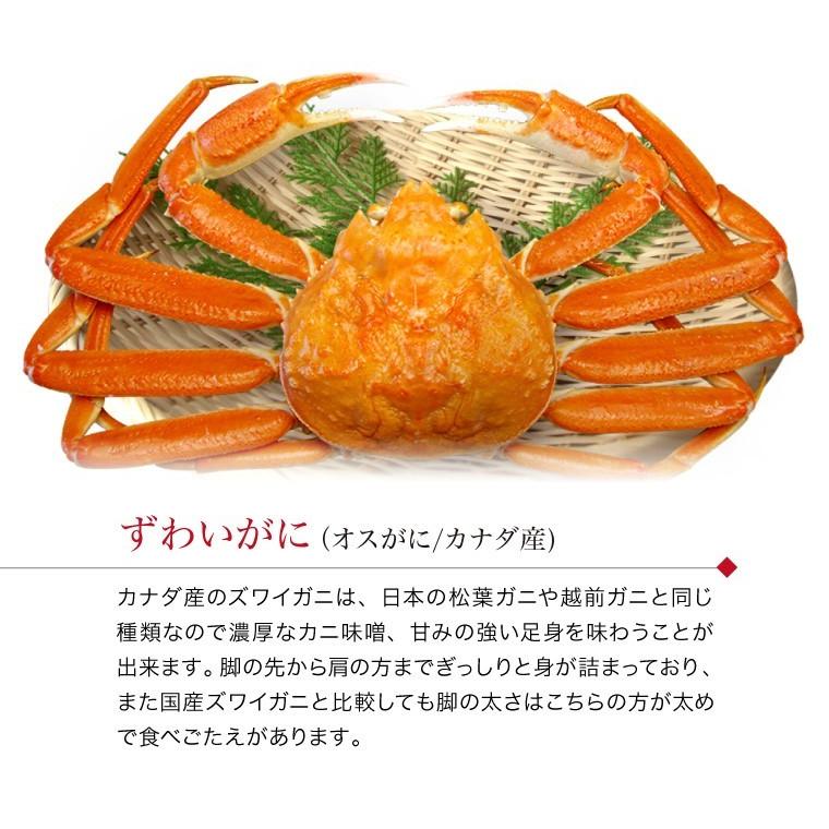 甲羅盛り ズワイガニ  2個(カナダ産) 出汁つゆ付 カニ丼 カニ丼の具 干しのり 付 (約4人前) ずわい蟹 ボイル ((冷凍))