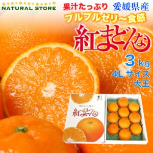 [予約  12月11日から12月20日のご納品] 紅まどんな 3kg 4L 8玉 大玉サイズ 愛媛県産  化粧箱