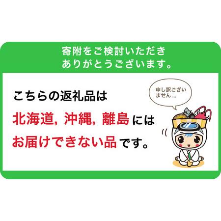 ふるさと納税 霜降り鯨肉 熟成尾肉（尾の身）切り落とし500g mi0012-0045 千葉県南房総市