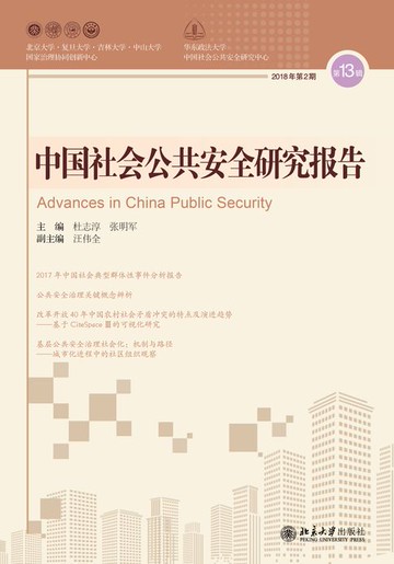 【電子書】中国社会公共安全研究报告·第13辑