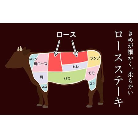 ふるさと納税 あか牛（褐毛和種）ロースステーキ (リブまたはサーロイン) 250g×2 500g 熊本県産 肉 和牛 牛肉 赤牛 あかうし リブロース サ.. 熊本県玉東町