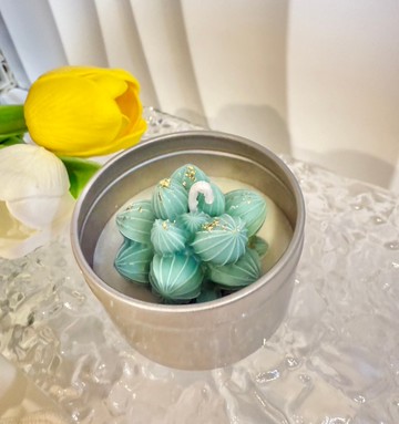 多肉仙人掌造型香氛蠟燭