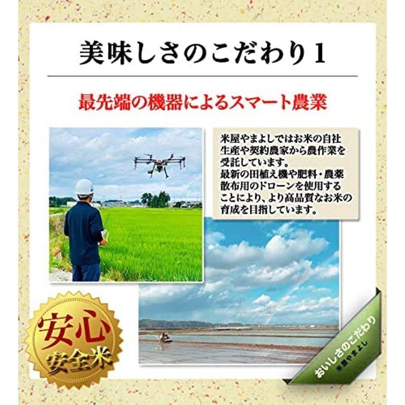 精米福島県中通り産 白米 コシヒカリ 25kg (5kg×5) 令和4年産 沖縄対応不可