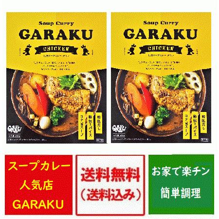 札幌スープカレー 送料無料 ガラク チキンスープカレー GARAKU スープカレー レトルト チキン カレー 2個