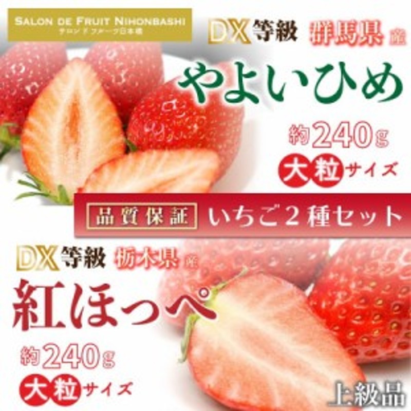 いちご食べ比べセット　上級品　約240g×4　やよいひめ　×　紅ほっぺ　LINEショッピング　予約　2024年1月5日-1月30日の納品]