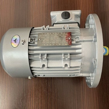 YE2/YE3/YE4-801-4-0.55KW丹東山川/賽孚特/江晟微型鋁殼電機[DD1201001]