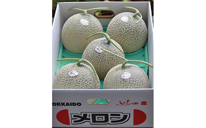 北海道 富良野 メロン 約1.6kg×5玉入り (スイートベジタブルファクトリー)