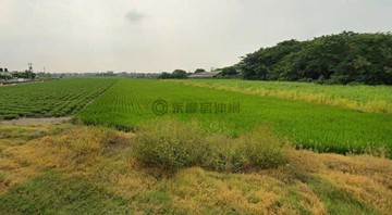 雲林虎尾永合都計農地，城市發展新動力-18933	｜雲林縣虎尾鎮永合段