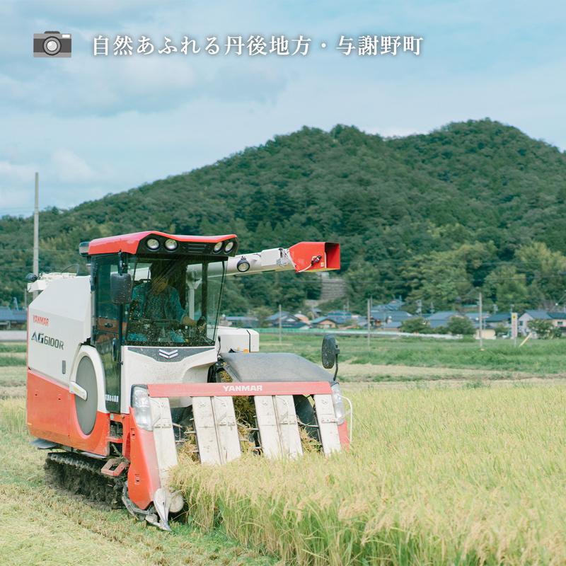 京都・丹後産 低農薬・ミルキークイーン5kg　白米または玄米から選べる、令和５年産新米、一部地域を除く送料無料
