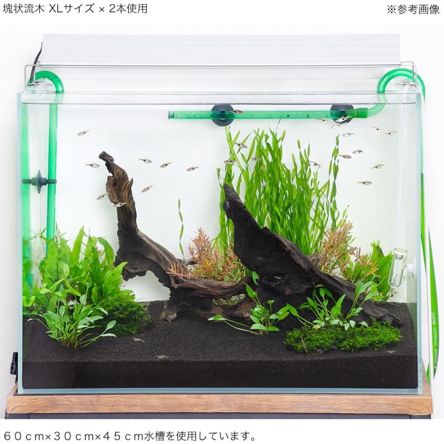 アクアリウム 天然流木 まとめ売り 置物 レイアウト 爬虫類 魚類 - その他