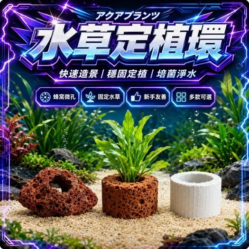 水草定植環 水草陶瓷環 火山石水草定植 水草固定 水草籃 種植籃 培菌環 濾材 過濾環 陶瓷環 水草 定植環 水草培植環