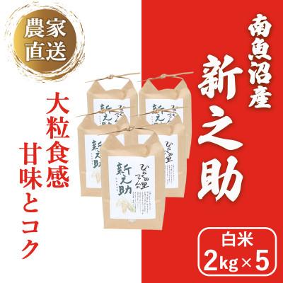 ふるさと納税 南魚沼市 きらめく大粒!ひらくの里ファームの南魚沼産新之助　白米2kg×5