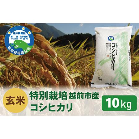 ふるさと納税 特別栽培 越前市産コシヒカリ 10kg 福井県越前市