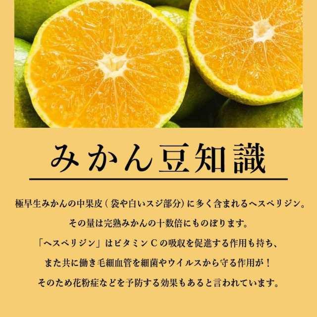 みかん 温州みかん 極早生 5kg 愛媛 オレンジ ギフト 柑橘 ミカン 果汁 果物 フルーツ お取り寄せ 旬 甘い 酸っぱい 家庭 贈答 産地直送 小玉 大玉 減農薬