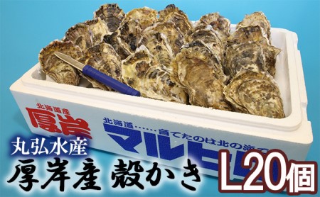 厚岸産 殻かき L20個セット 北海道 牡蠣 カキ かき  生牡蠣 殻付