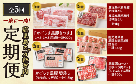 一家に一肉！ 鹿児島の万能お肉定期便　K000-T2326 送料無料 期間限定 豚肉 黒豚 牛肉 黒毛和牛 しゃぶしゃぶ 豚しゃぶ 冷しゃぶ 焼肉 小分け 食べ比べ セット バラエティ 定期 甘い 美味しい 冷凍 大容量 鹿児島市 土産 贈り物 プレゼント ギフト 贈答